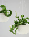 White Water Bead | Hanging Planter Large