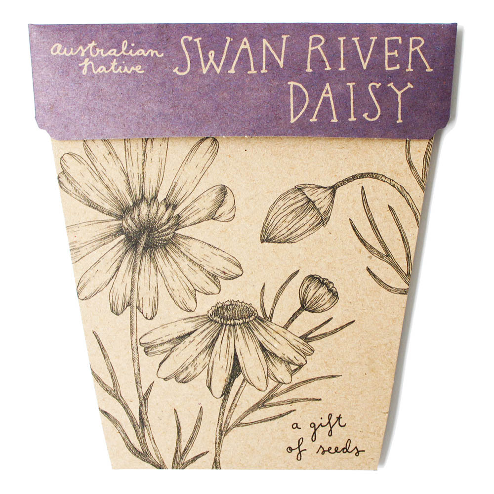 A Gift Of Seeds Card │Swan River Daisy
