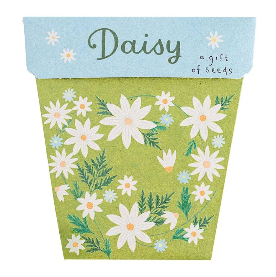 A Gift Of Seeds | Daisy