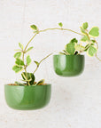 Glazed Earth Hanging Planter | Forest Green Mid