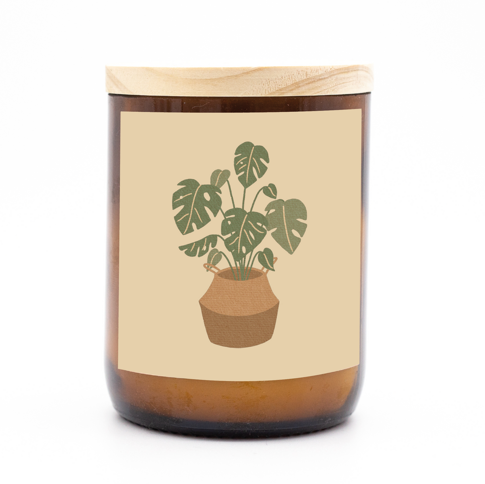 House Plants Candle | Monstera