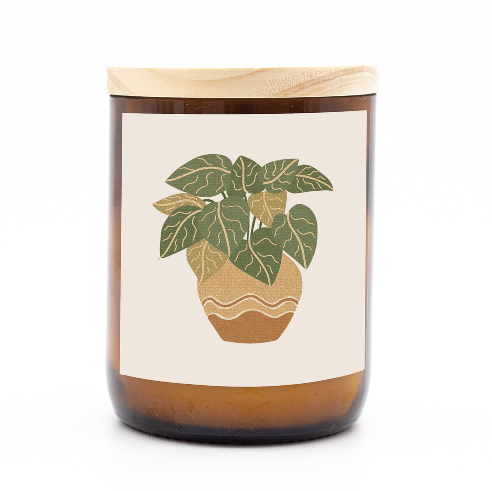 House Plants Candle | Wave
