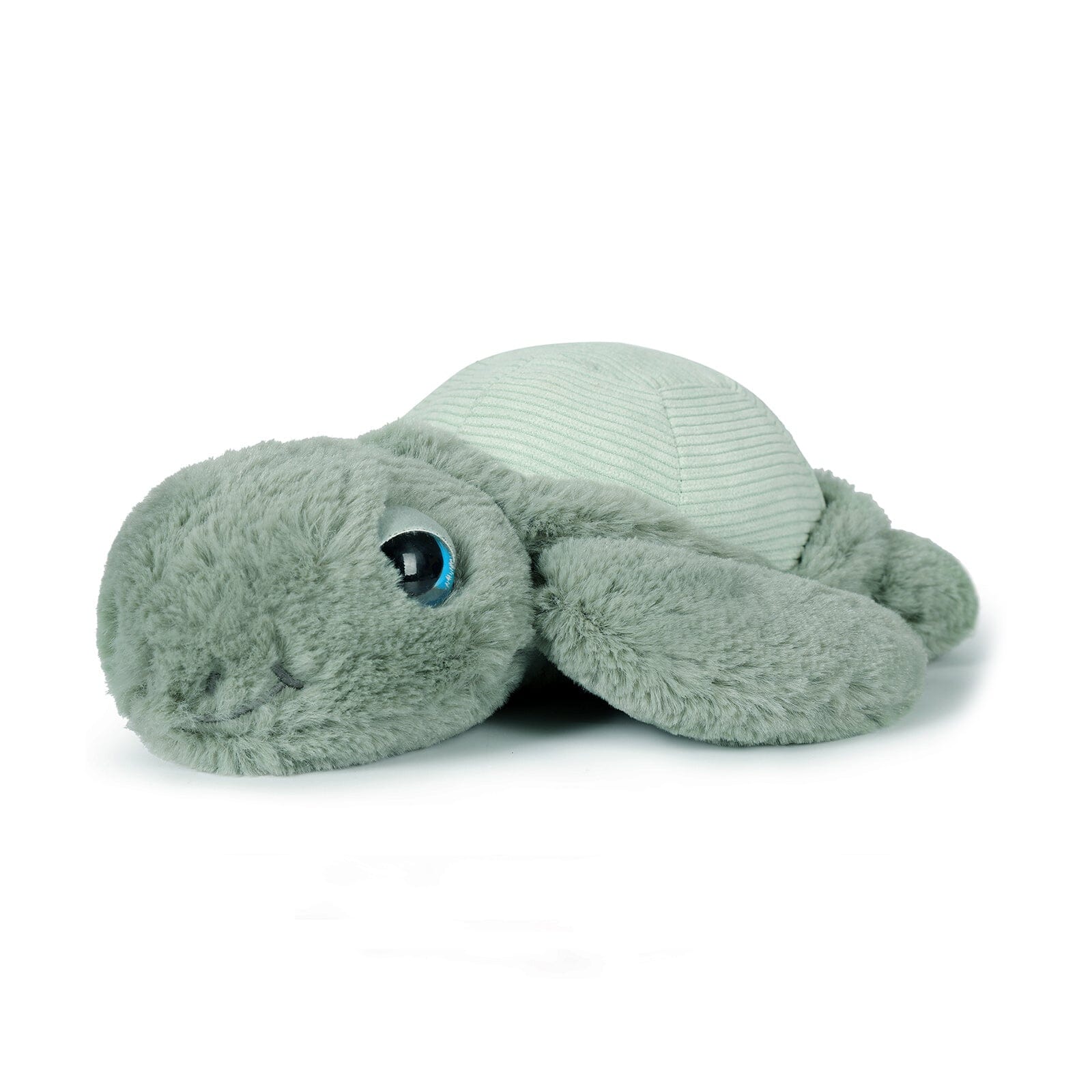 Little Tyler Turtle | Soft Toy