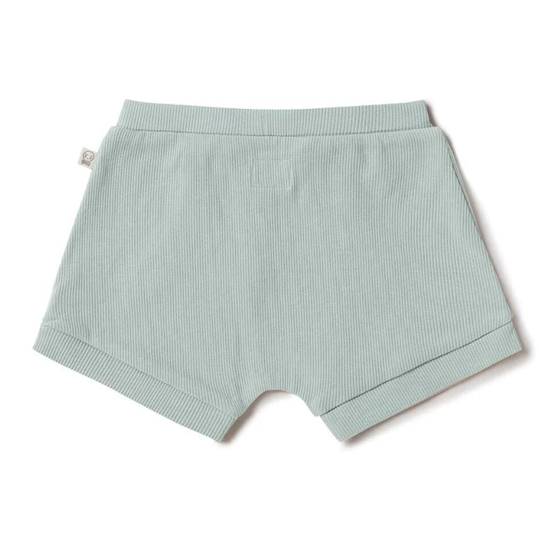 Sage Organic Shorts