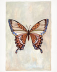 New Beginnings ~ Butterfly Art Print | Karina Jambrak