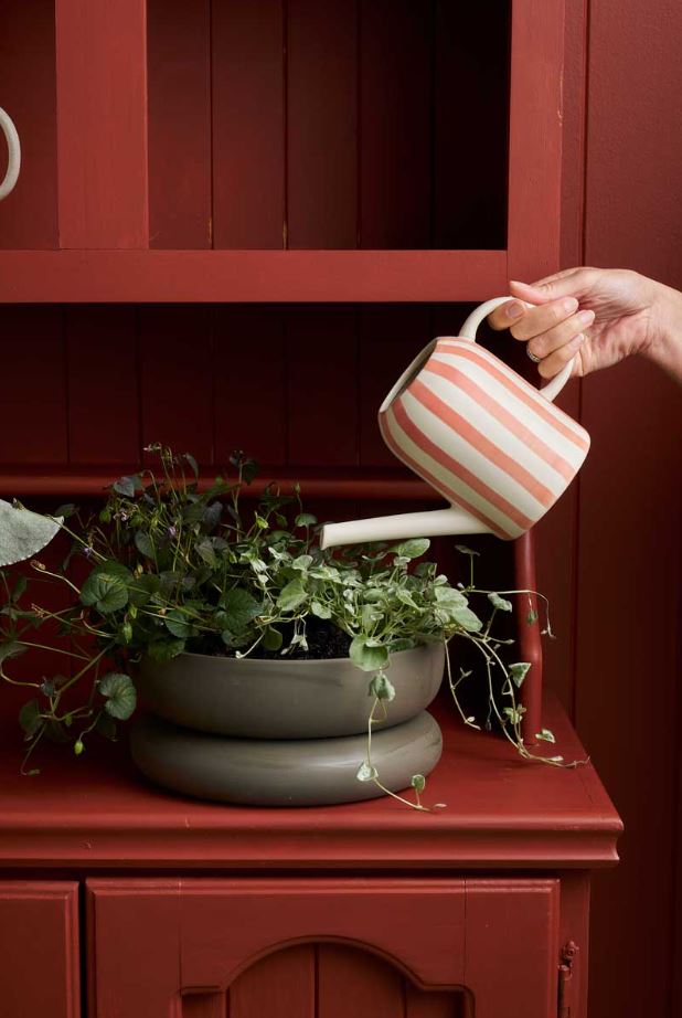 Watering Can | Coral Plant Parent