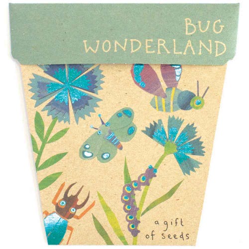 A Gift Of Seeds | Bug Wonderland