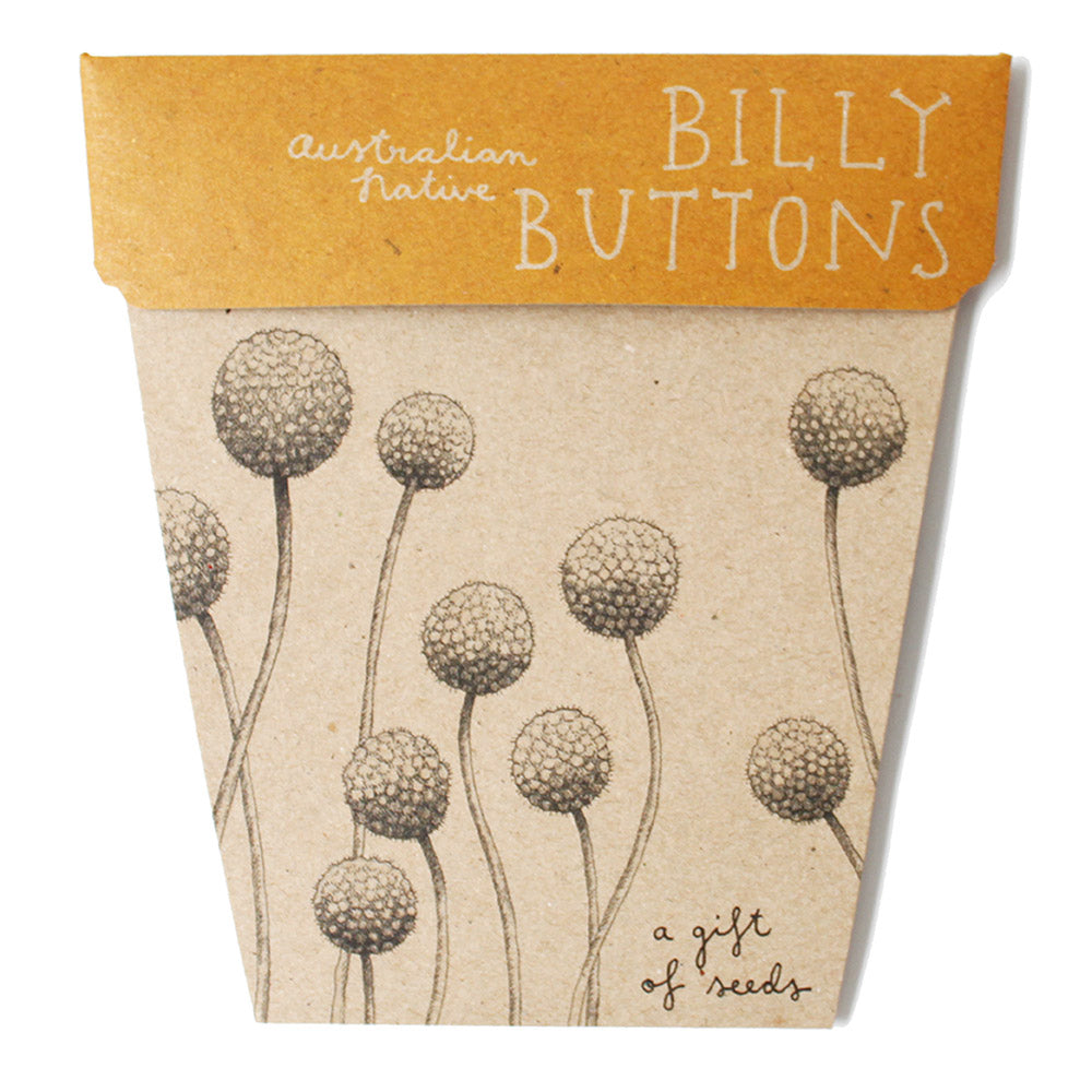 A Gift Of Seeds Card │Billy Buttons