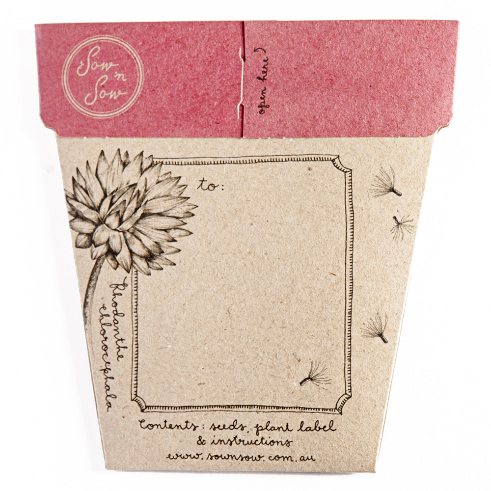 A Gift Of Seeds Card │Everlasting Daisy