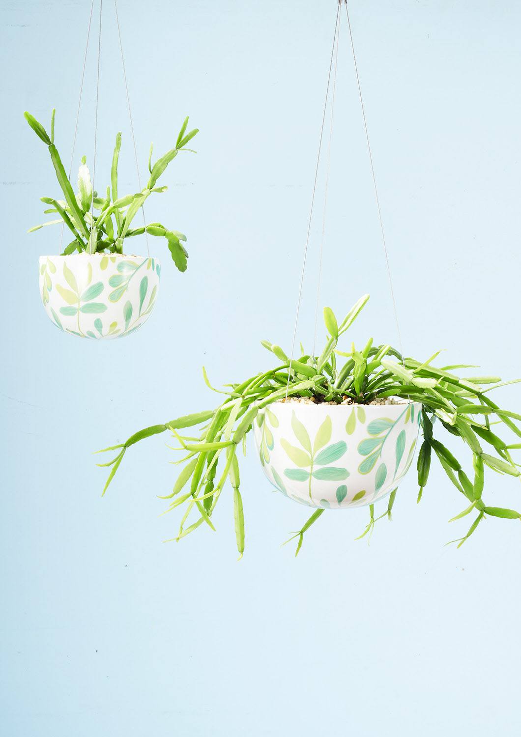 Decorative Hanging Planter | Green Zamia Palm