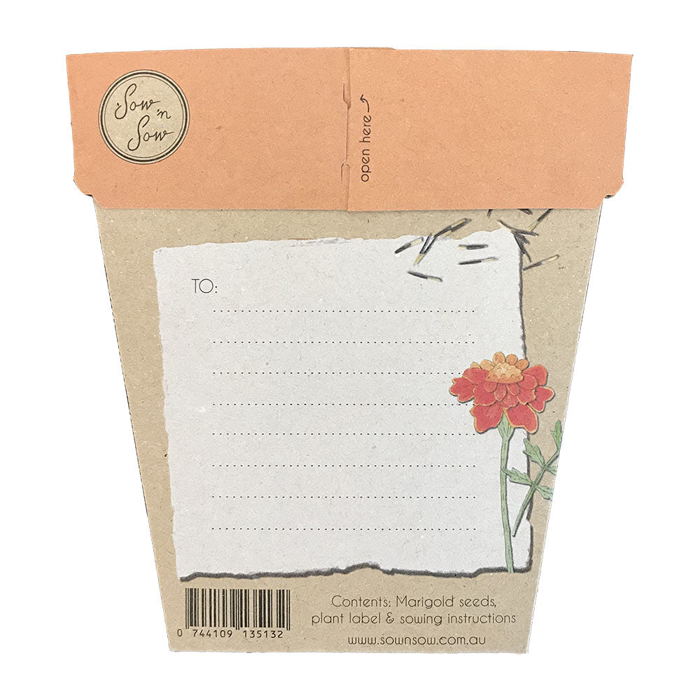 A Gift Of Seeds Card │Marigolds