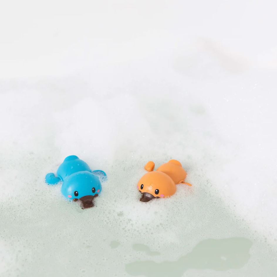 Bath Racers | Platypuses
