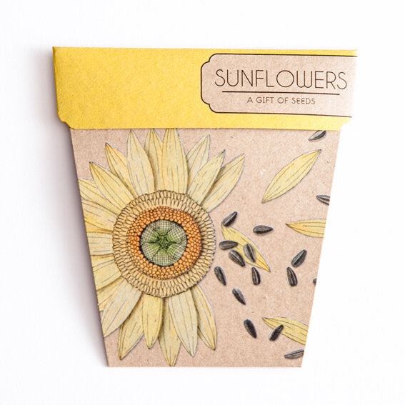 A Gift Of Seeds Card │Sunflowers