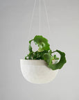 White Water Bead | Hanging Planter Mid