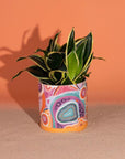 Pot Planter | Sacred Country