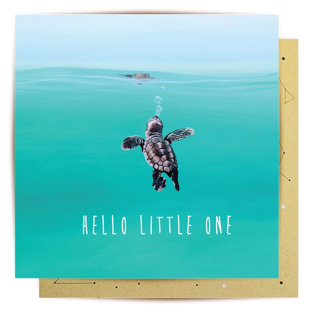 Baby Turtle Greeting Card
