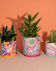 Pot Planter | Sacred Country