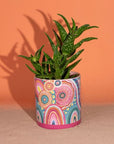 Pot Planter | Sacred Country